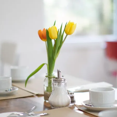 Gaestehaus Schechter Ξενοδοχείο με διαμερίσματα Uhldingen-Mühlhofen